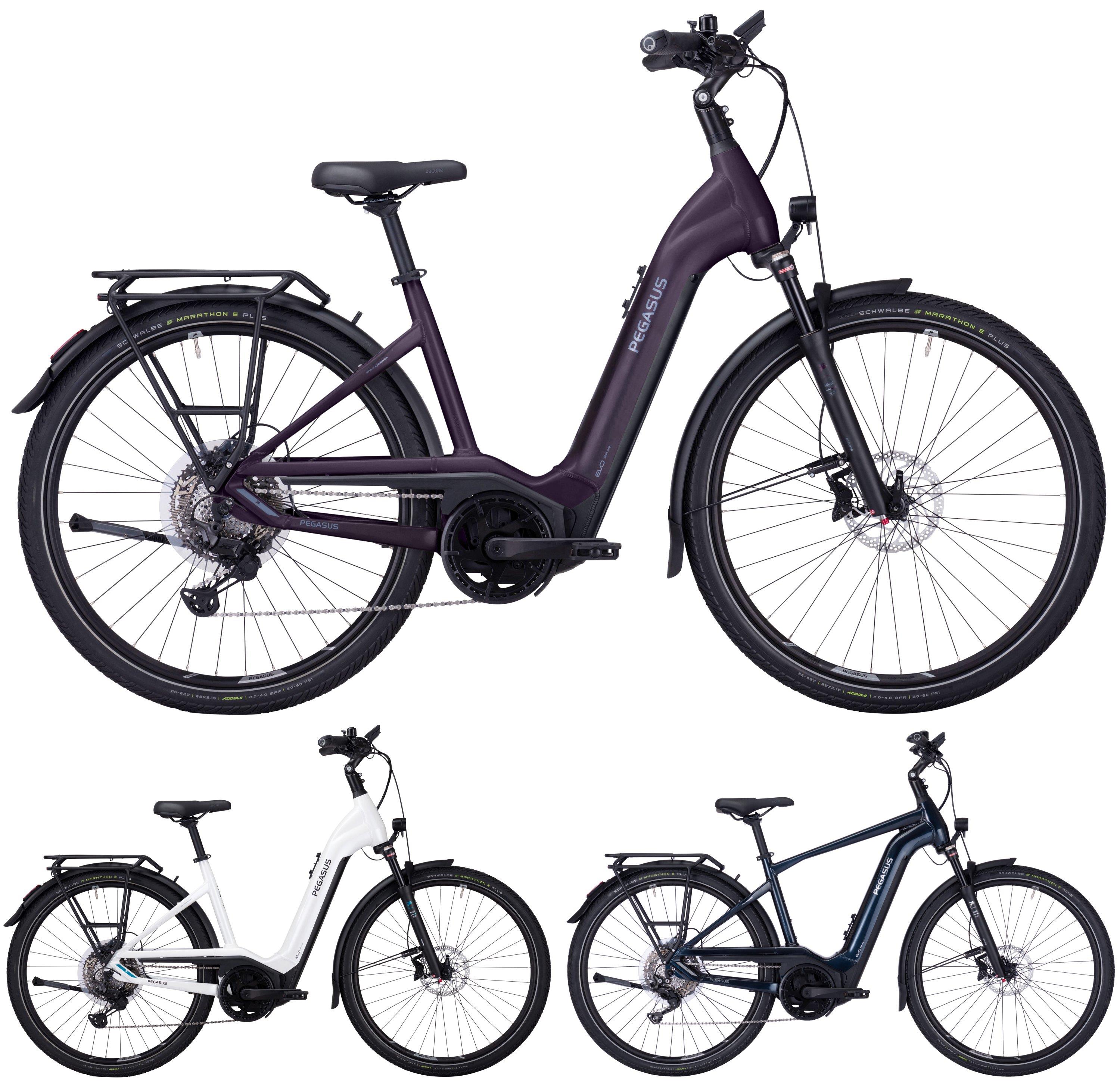 Pegasus Pedelec Premio-Evo-11 "40 Years" 750 2022 Pegasus Pedelec Premio-Evo-11 "40 Years" 750 2022