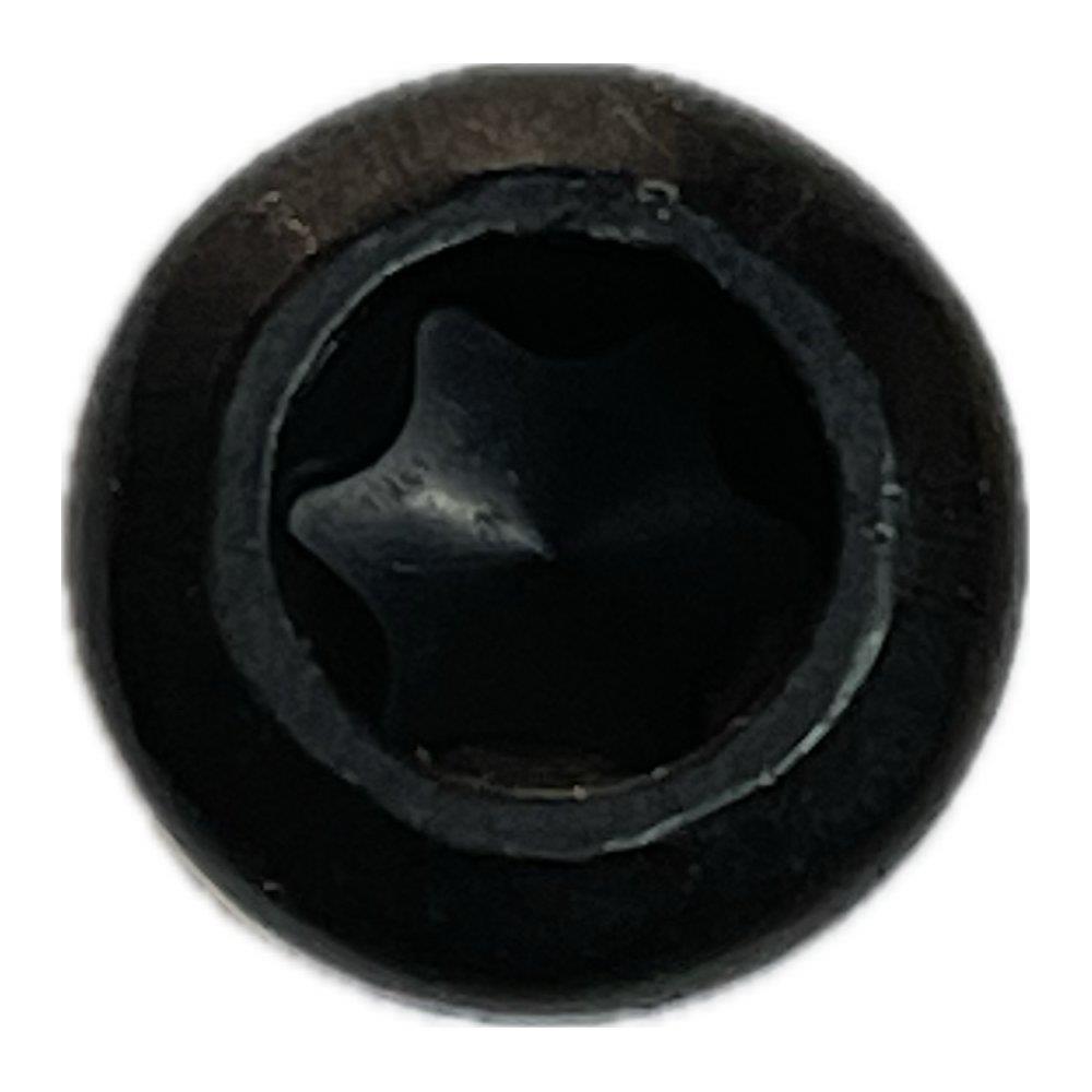 Pinion Motorschraube M6x22mm Torx T30 Stückpreis !
