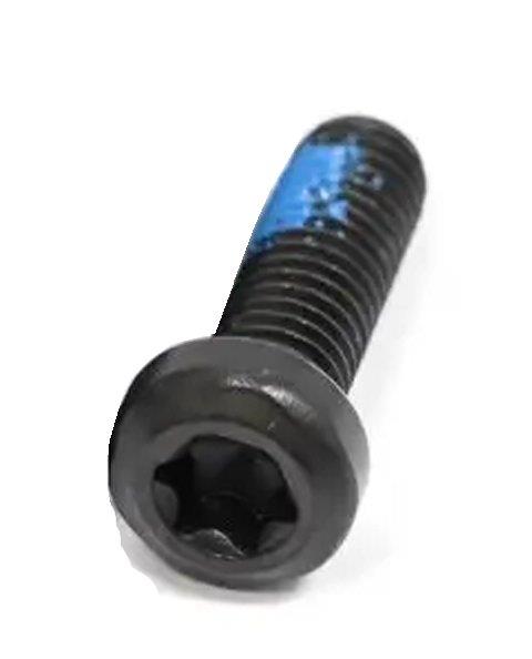 Pinion Motorschraube M6x22mm Torx T30 Stückpreis !