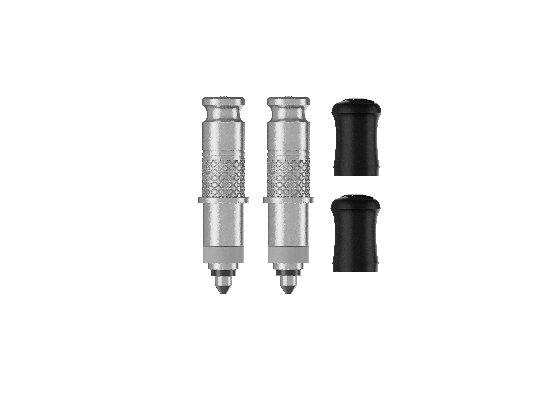 Schwalbe Ventil Click-Valve Conversion Set DV-SCV nur Ventile 2er-Set