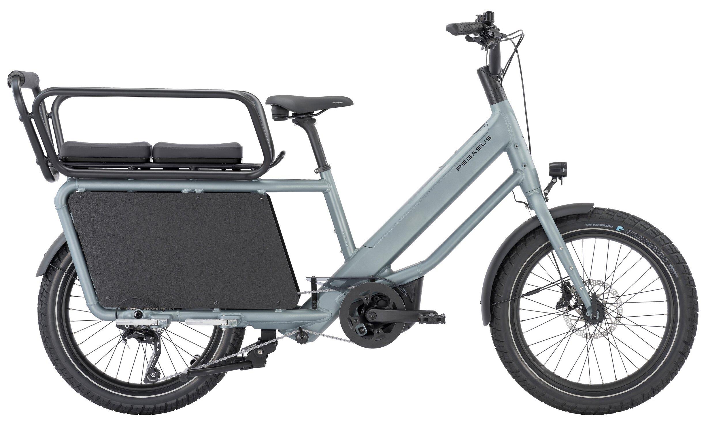 Pegasus Pedelec Famulo 2025-2026 holographic grey matte